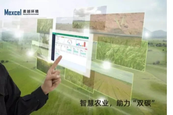 植物全生命周期碳排放在線監測系統 植物全生命周期碳排放在線監測系統